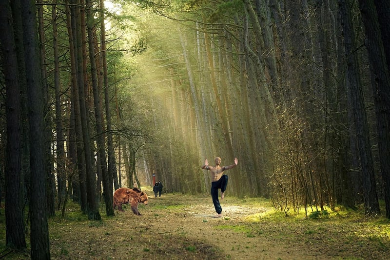 Sun Style Chinese Martial Arts